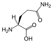 L-glutamine dans Keto Diet